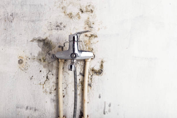 Best Mold Testing and Inspection Services in El Granada, CA