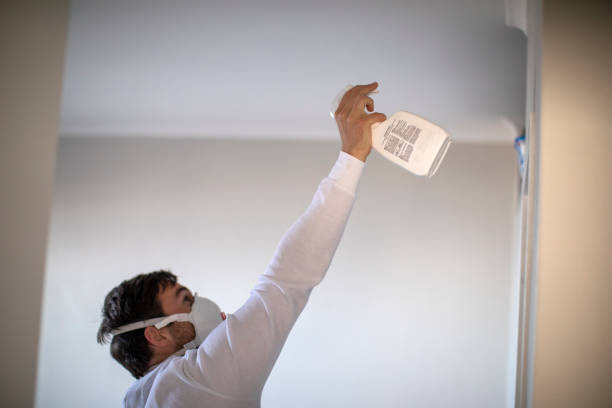 Best White Mold Remediation in El Granada, CA