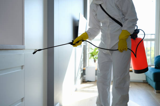 Best Health and Safety Mold Remediation in El Granada, CA