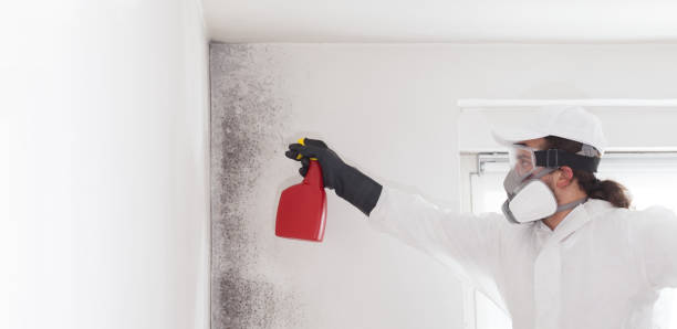 Trusted El Granada, CA Mold Remediation Experts